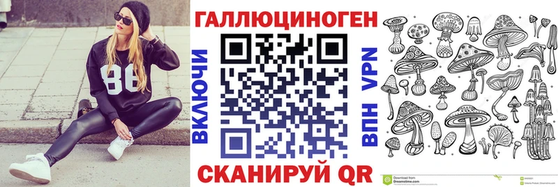 Купить  Тырныауз  Псилоцибиновые грибы Psilocybe 